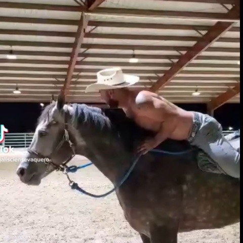 jalisciensevaquero onlyfans leaked picture 1