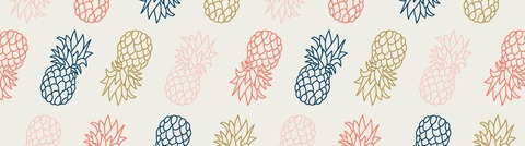 Header of pineappleone