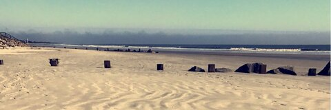 Header of poteetjl