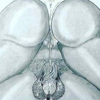 tittiman onlyfans leaked picture 1
