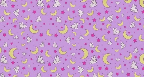 Header of xx.spacekitty